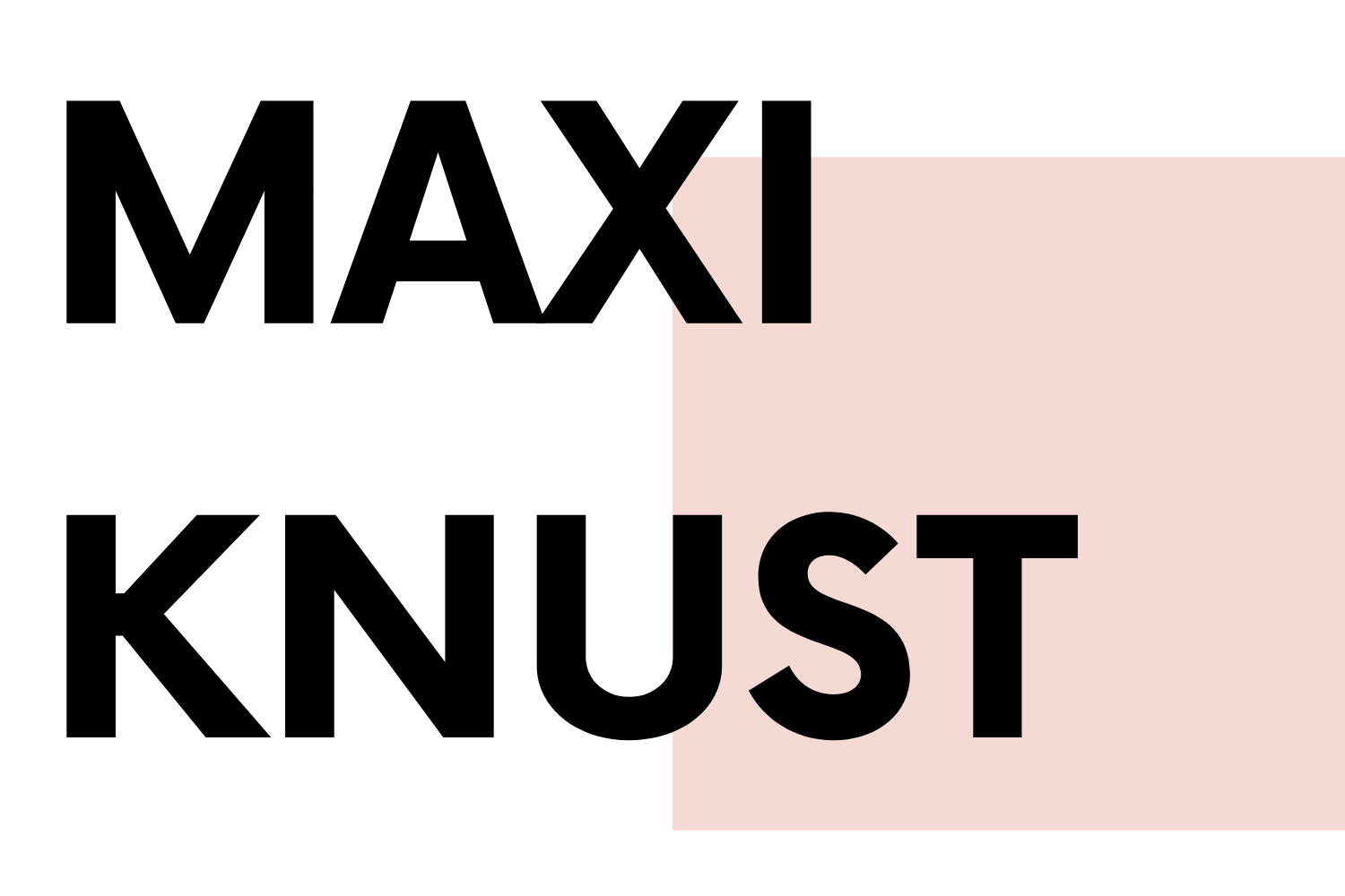 MAXI KNUST Digital Marketing Expert